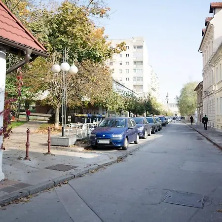 The Cute, Sunny In The Center +p