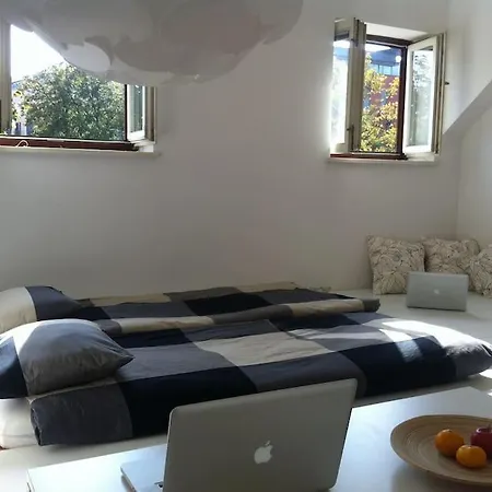 The Cute, Sunny In The Center +p * Lublana