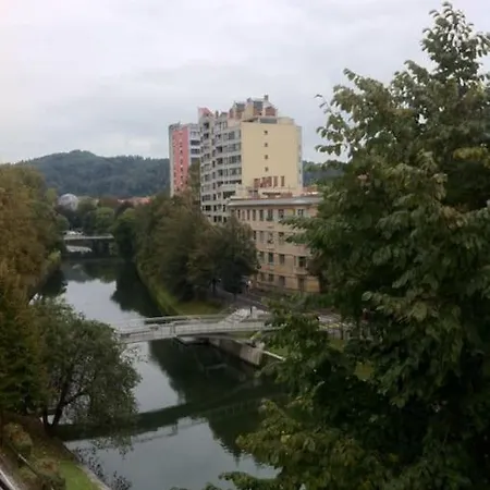 The Cute, Sunny In The Center +p Apartmán