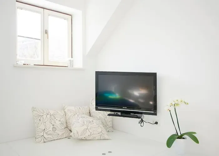 The Cute, Sunny In The Center +p Apartament