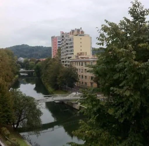 The Cute, Sunny In The Center +p Apartament